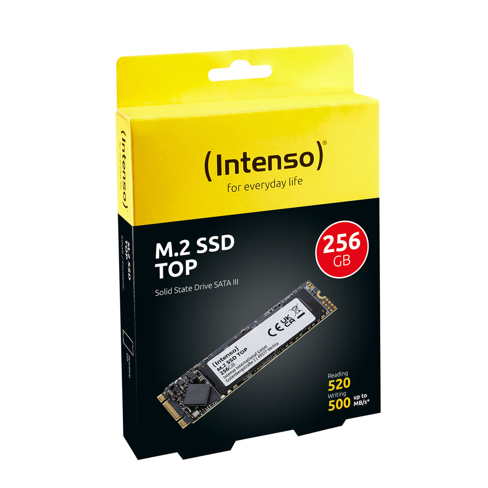 Intenso Top 256 GB M.2 Serial ATA III