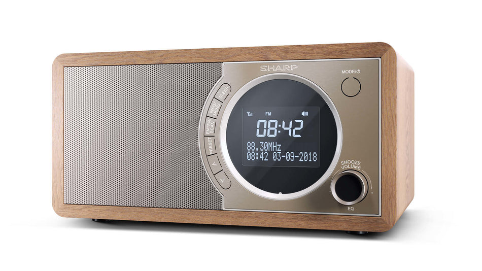 Sharp DR-450 Personal Digital Brown, Stainless steel