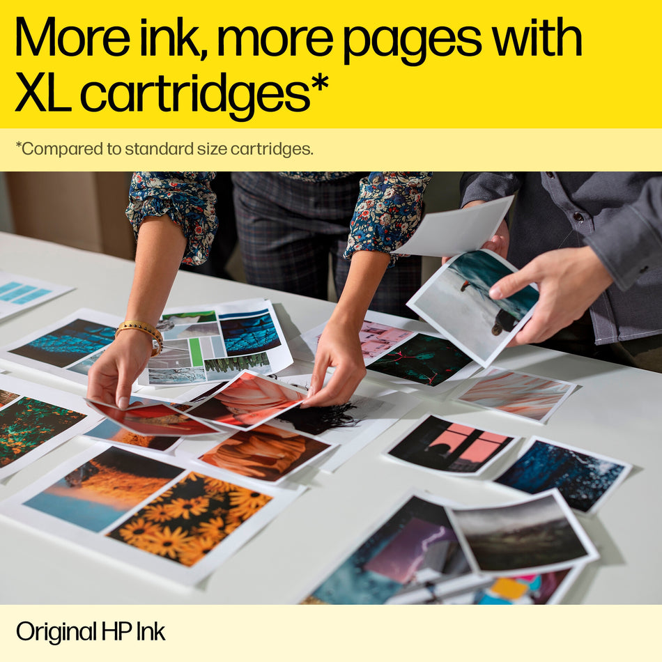 HP 300 Black Original Ink Cartridge