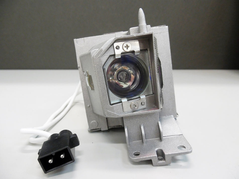 Diamond Lamps Lamp for OPTOMA DH1008:DS345:DS346:DX342:DX345:GT1070X:H182X:S315:W300:W310:X315:DW345:DW346:DS340e:H112e Projector