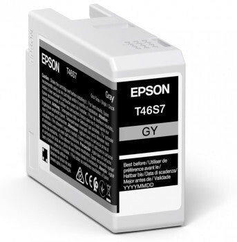 Epson UltraChrome Pro ink cartridge 1 pc(s) Original Grey