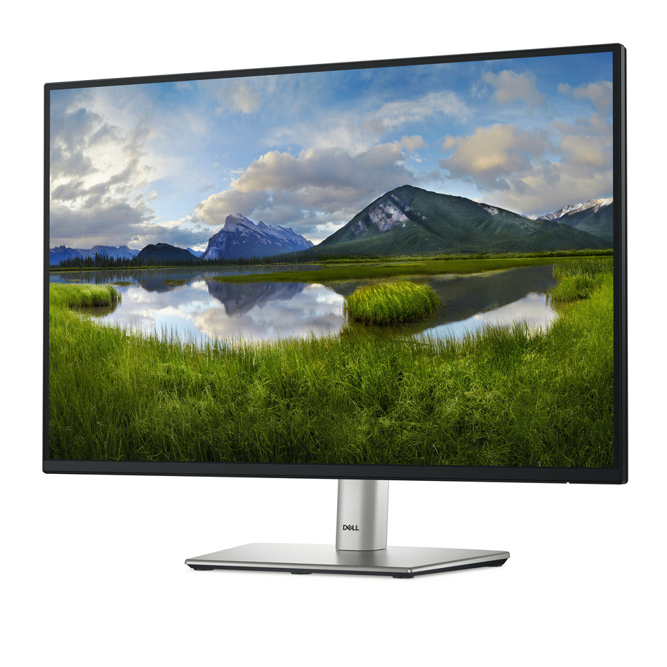 DELL P Series P2425E computer monitor 61.1 cm (24.1") 1920 x 1200 pixels WUXGA LCD Black