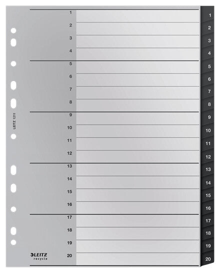 Leitz Recycle Index, PP, extra wide
