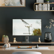 ALOGIC 32C4KPD computer monitor 81.3 cm (32") 3840 x 2160 pixels 4K Ultra HD Aluminium, Black